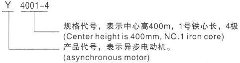 西安泰富西玛Y系列(H355-1000)高压YKS5006-6/710KW三相异步电机型号说明